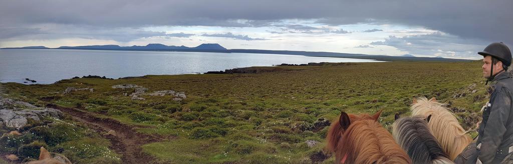 Grasteinn Guesthouse Þórshöfn 외부 사진