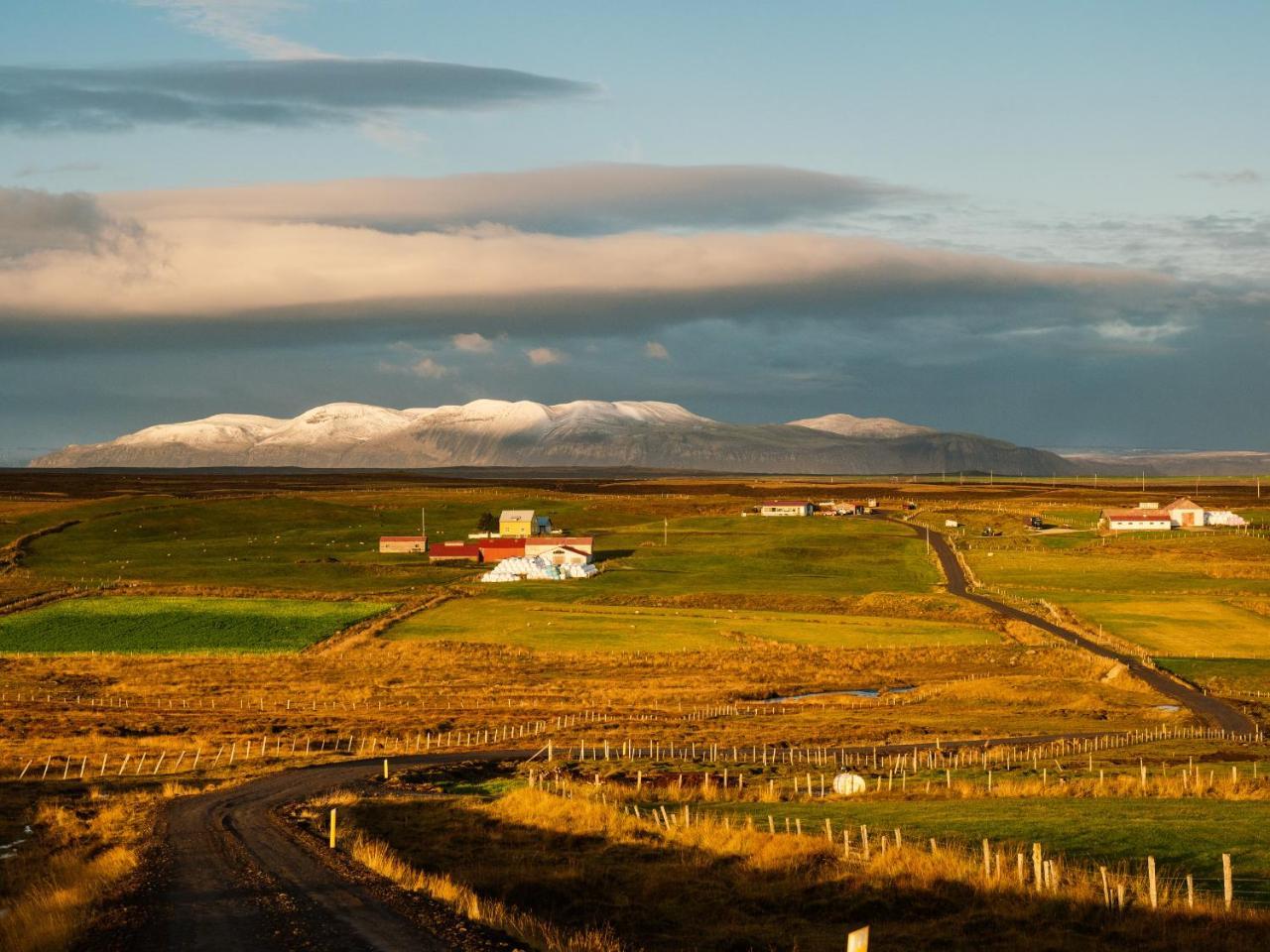 Grasteinn Guesthouse Þórshöfn 외부 사진